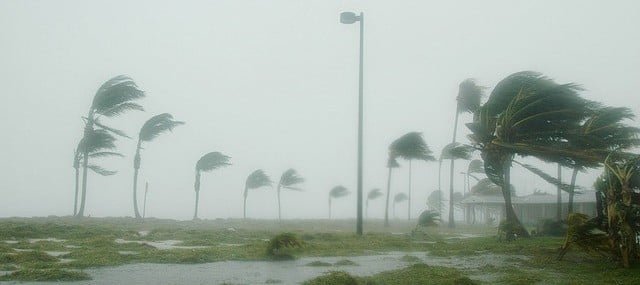 hurricane wilma